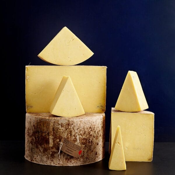 Stacked aged cheddar cheese wheels on dark background