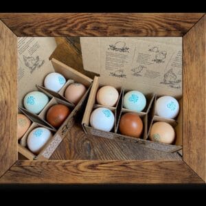 Decorative eggs in compartmentalized box with illustrations