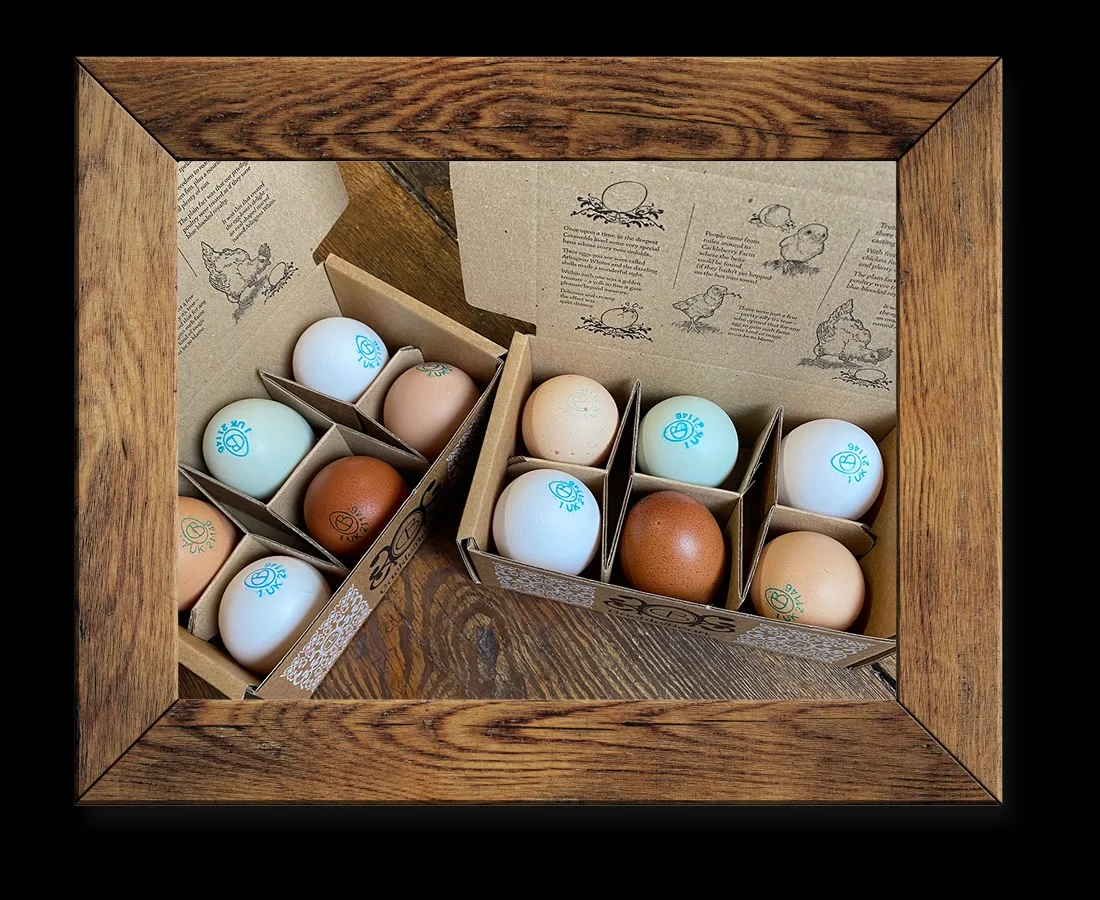 Decorative eggs in compartmentalized box with illustrations
