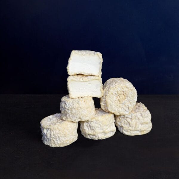Assorted fresh tempeh blocks on dark background