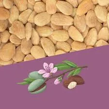 Almonds with leaves and blossom on purple background