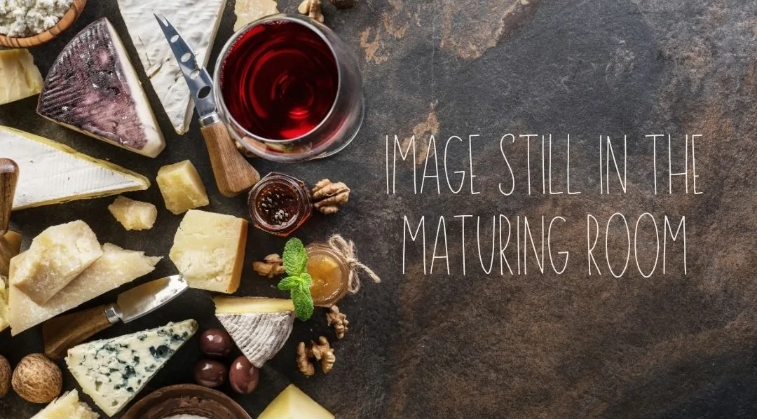 Assorted cheeses with wine and nuts on dark background