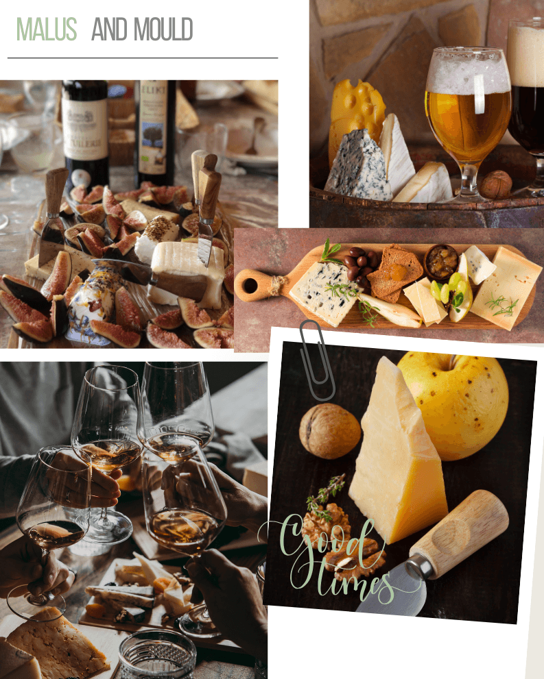 Assorted gourmet cheeses and wines setup