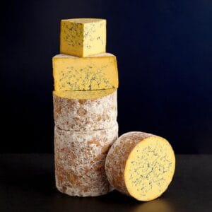 Stacked artisan blue cheese wheels against black background